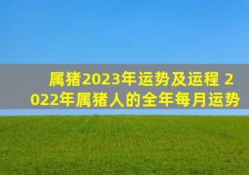 属猪2023年运势及运程 2022年属猪人的全年每月运势